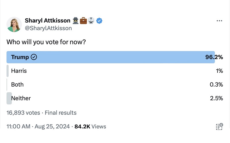 MUST SEE: New Presidential Poll Ran By Independent Journalist Has STUNNING Result